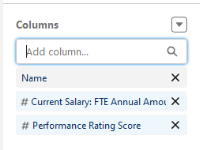 Screenshot showing fte annual amount reporting and performance rating score columns selected for total pay report